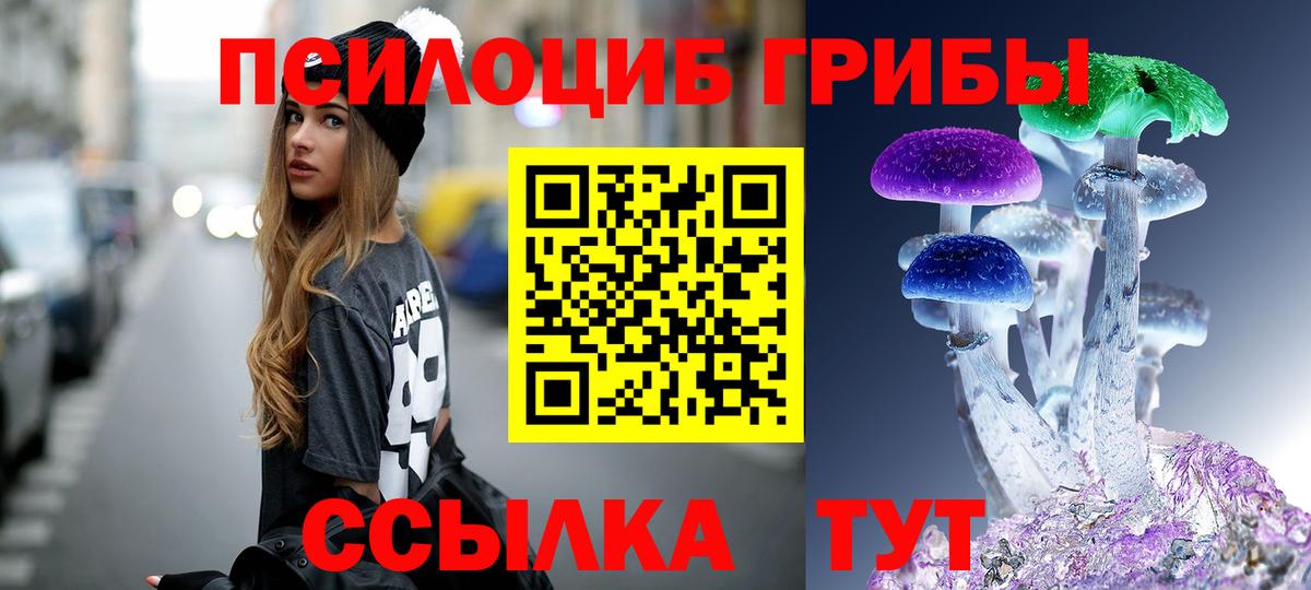 Ачхой-Мартан  Галлюциногенные грибы ЛСД  Вход с VPN 